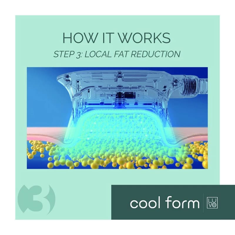 Step-3-Fat-Reduced-Cool-Form-How-it-Works